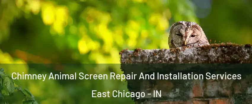  Chimney Animal Screen Repair And Installation Services East Chicago - IN