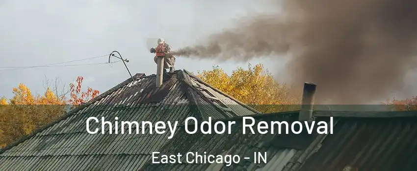  Chimney Odor Removal East Chicago - IN