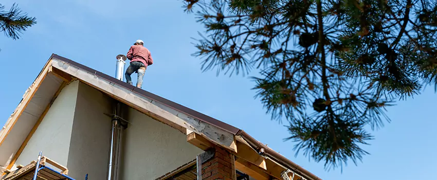 Birds Removal Contractors from Chimney in East Chicago, IN