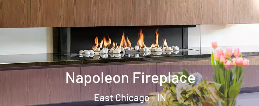  Napoleon Fireplace East Chicago - IN